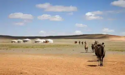 On vous fait découvrir les plus belles choses à faire en Mongolie